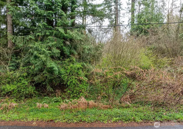 Photo 4 of Land for sale at 32617 Benbow Dr E, Graham, WA 98338 | MLS# NWM2502230 | Listing updated on 2026-09-21