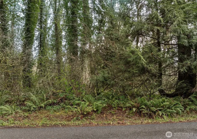 Photo 3 of Land for sale at 32621 Benbow Dr E, Graham, WA 98338 | MLS# NWM2502231 | Listing updated on 2026-09-21