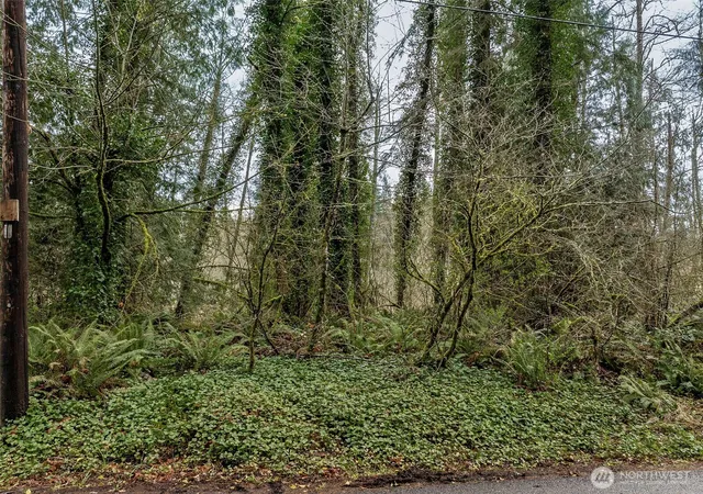 Photo 4 of Land for sale at 32621 Benbow Dr E, Graham, WA 98338 | MLS# NWM2502231 | Listing updated on 2026-09-21