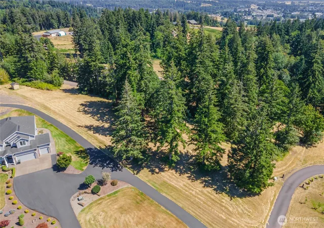 Photo 1 of Land for sale at 165 Saturn Ave, Woodland, WA 98674 | MLS# NWM2502281 | Listing updated on 2026-09-21