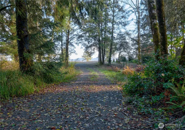 Photo 4 of Land for sale at 13010 Teal Ln, Long Beach, WA 98631 | MLS# NWM2502381 | Listing updated on 2026-09-21