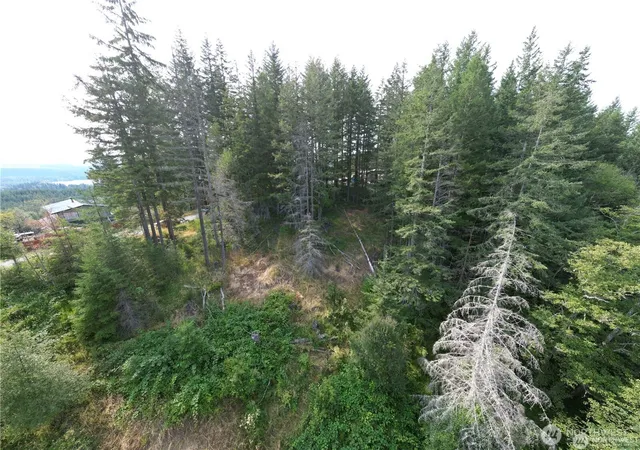 Photo 1 of Land for sale at 50113 146th Avenue E, Eatonville, WA 98328 | MLS# NWM2502387 | Listing updated on 2026-09-24