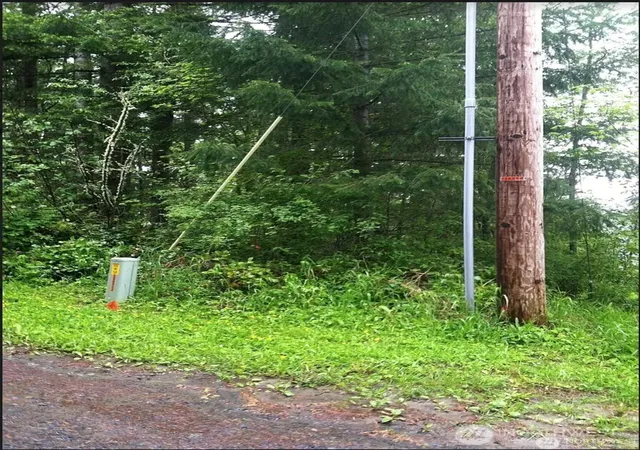 Photo 2 of Land for sale at 50113 146th Avenue E, Eatonville, WA 98328 | MLS# NWM2502387 | Listing updated on 2026-09-24