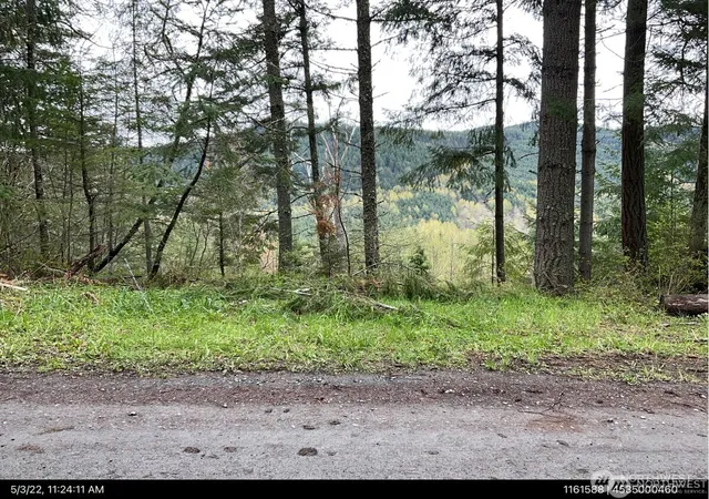 Photo 3 of Land for sale at 50113 146th Avenue E, Eatonville, WA 98328 | MLS# NWM2502387 | Listing updated on 2026-09-24