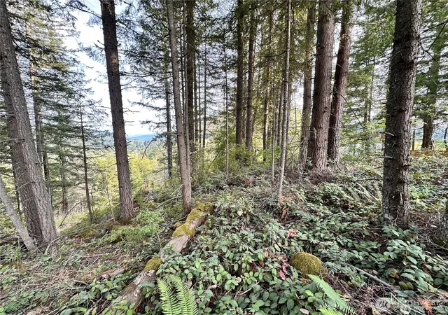Photo 4 of Land for sale at 50113 146th Avenue E, Eatonville, WA 98328 | MLS# NWM2502387 | Listing updated on 2026-09-24