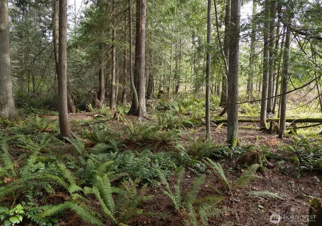 Photo 4 of Land for sale at 2116 S 7th Avenue, Sequim, WA 98382 | MLS# NWM2502395 | Listing updated on 2026-09-21