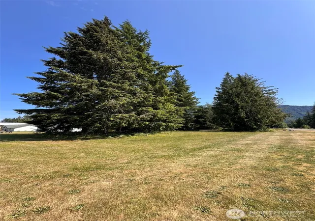Photo 3 of Land for sale at 0 Shelton Rd, Randle, WA 98377 | MLS# NWM2502403 | Listing updated on 2026-09-21
