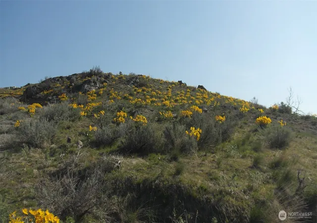 Photo 2 of Land for sale at 4 Brk Trout Ln, Methow, WA 98834 | MLS# NWM2502421 | Listing updated on 2026-09-21