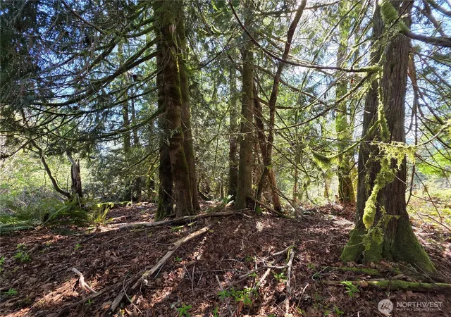 Photo 3 of Land for sale at 0 Cedar Pl, Brinnon, WA 98320 | MLS# NWM2502495 | Listing updated on 2026-09-25