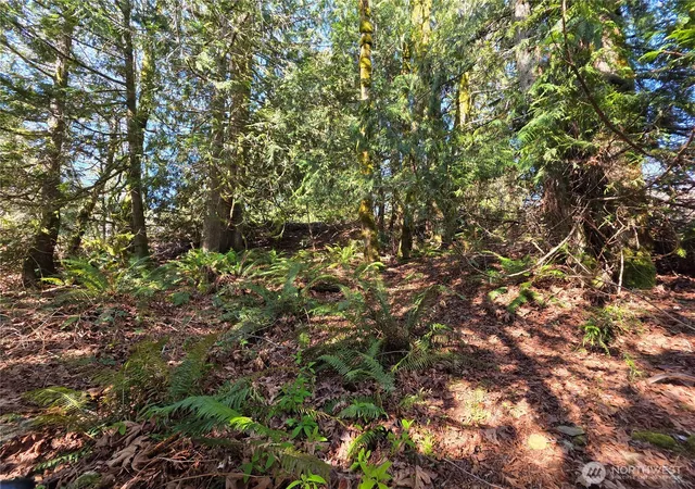 Photo 4 of Land for sale at 0 Cedar Pl, Brinnon, WA 98320 | MLS# NWM2502495 | Listing updated on 2026-09-25