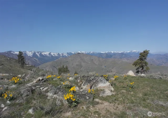 Land for sale at 31 Cowboy Rd, Methow, WA 98834 | MLS# NWM2502561