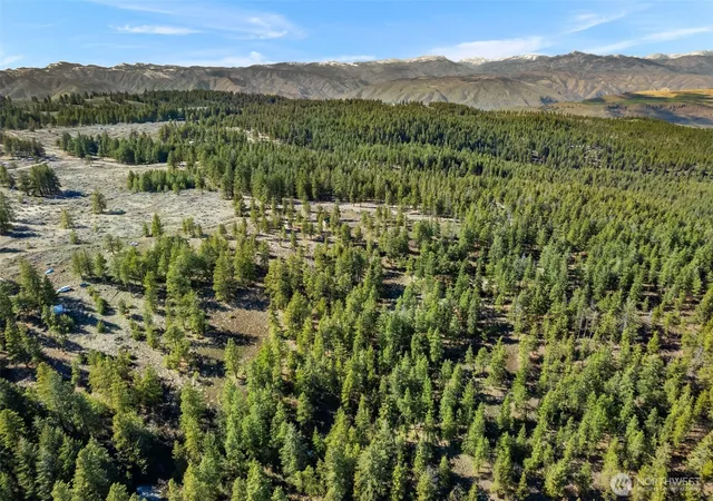 Photo 4 of Land for sale at 110 Blue Bird Ln, East Wenatchee, WA 98802 | MLS# NWM2502608 | Listing updated on 2026-09-23