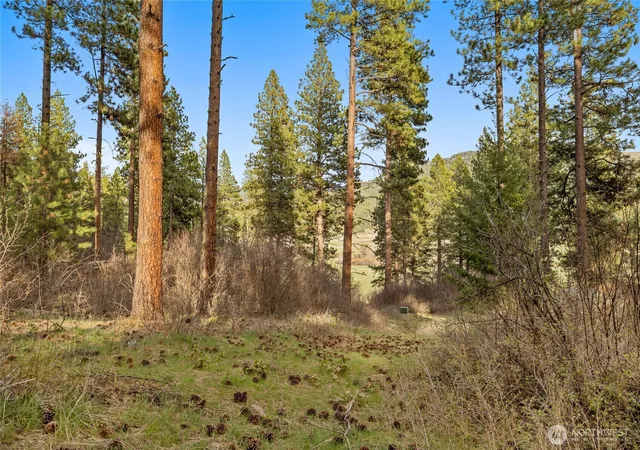 Photo 1 of Land for sale at 250 Fir Tree Dr, Cle Elum, WA 98922 | MLS# NWM2502709 | Listing updated on 2026-09-21