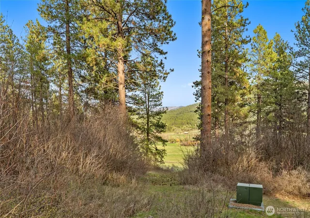 Photo 2 of Land for sale at 250 Fir Tree Dr, Cle Elum, WA 98922 | MLS# NWM2502709 | Listing updated on 2026-09-21