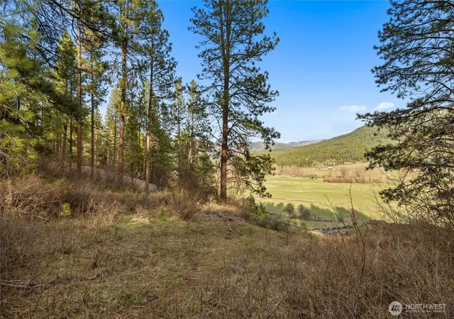 Photo 3 of Land for sale at 250 Fir Tree Dr, Cle Elum, WA 98922 | MLS# NWM2502709 | Listing updated on 2026-09-21