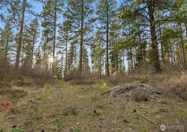 Photo 3 of Land for sale at 250 Fir Tree Dr, Cle Elum, WA 98922 | MLS# NWM2502709 | Listing updated on 2026-09-21