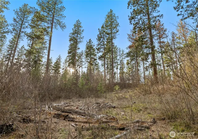 Photo 4 of Land for sale at 250 Fir Tree Dr, Cle Elum, WA 98922 | MLS# NWM2502709 | Listing updated on 2026-09-21