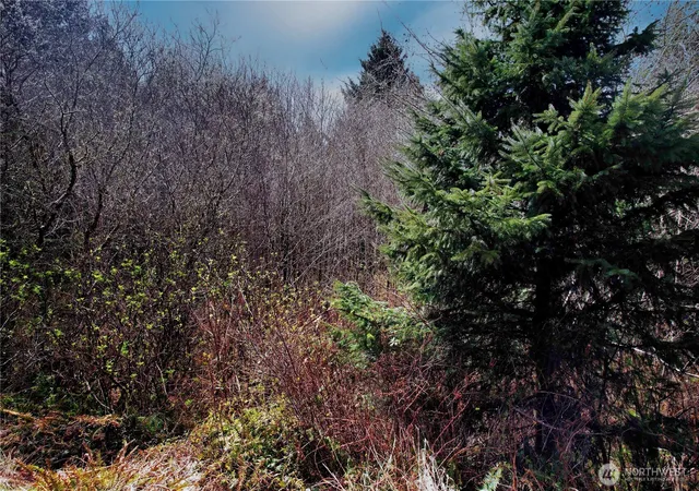 Photo 1 of Land for sale at 31 Ocean Beach Rd, Pacific Beach, WA 98571 | MLS# NWM2502737 | Listing updated on 2026-09-21