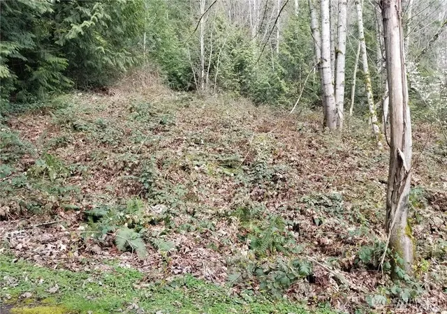 Photo 3 of Land for sale at 0 Ne 58th Street, Redmond, WA 98053 | MLS# NWM2502891 | Listing updated on 2026-09-21