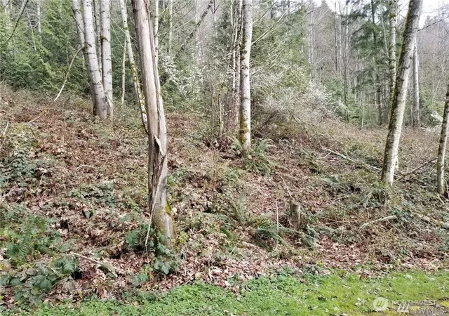 Photo 3 of Land for sale at 0 NE 58th Street, Redmond, WA 98053 | MLS# NWM2502891 | Listing updated on 2026-09-21