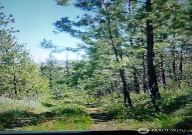 Photo 3 of Land for sale at 111 Tbd J H Green Rd, Tonasket, WA 98855 | MLS# NWM2502936 | Listing updated on 2026-09-21