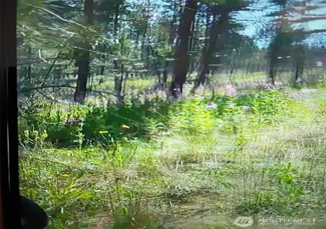Photo 3 of Land for sale at 111 Tbd J H Green Rd, Tonasket, WA 98855 | MLS# NWM2502936 | Listing updated on 2026-09-21