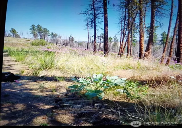 Photo 4 of Land for sale at 111 Tbd J H Green Rd, Tonasket, WA 98855 | MLS# NWM2502936 | Listing updated on 2026-09-21