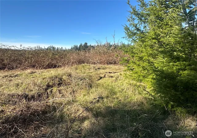 Photo 3 of Land for sale at 0 Xxx Embody Rd, Port Ludlow, WA 98365 | MLS# NWM2503011 | Listing updated on 2026-09-20