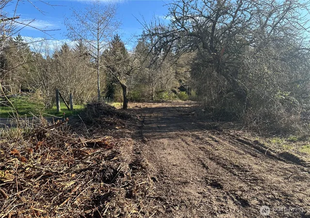 Photo 3 of Land for sale at 0 Xxx Embody Rd, Port Ludlow, WA 98365 | MLS# NWM2503011 | Listing updated on 2026-09-20