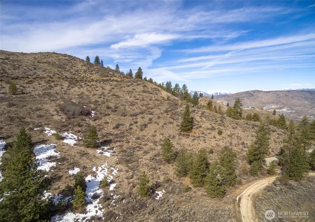 Photo 3 of Land for sale at 0 Yarbrough Dr, Orondo, WA 98843 | MLS# NWM2503033 | Listing updated on 2026-09-21