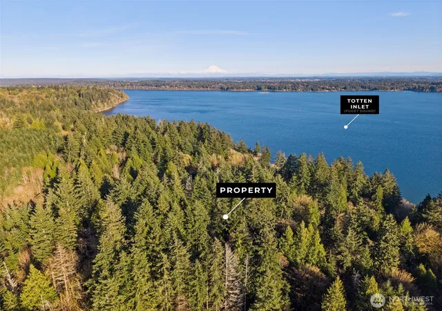 Photo 3 of Land for sale at 0 SE Totten Shrs Dr, Shelton, WA 98584 | MLS# NWM2503121 | Listing updated on 2026-09-21