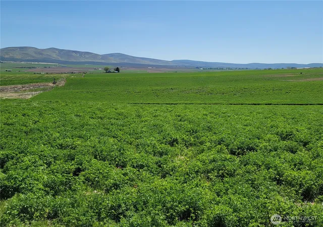 Photo 1 of Land for sale at 1612 Katen Rd, Ellensburg, WA 98926 | MLS# NWM2503172 | Listing updated on 2026-09-21