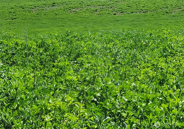 Photo 3 of Land for sale at 1612 Katen Rd, Ellensburg, WA 98926 | MLS# NWM2503172 | Listing updated on 2026-09-21
