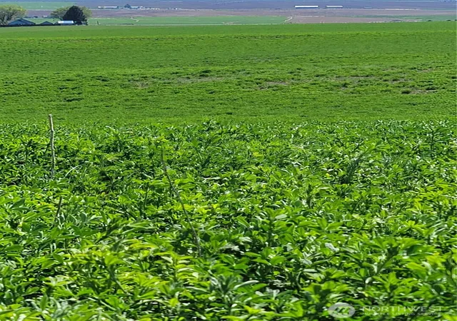 Photo 3 of Land for sale at 1612 Katen Rd, Ellensburg, WA 98926 | MLS# NWM2503172 | Listing updated on 2026-09-21