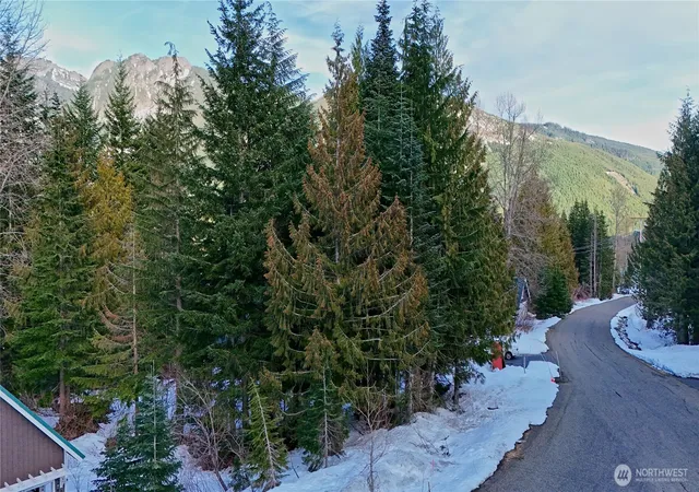 Photo 4 of Land for sale at 56 Snoqualmie Dr, Snoqualmie Pass, WA 98068 | MLS# NWM2503348 | Listing updated on 2026-09-21