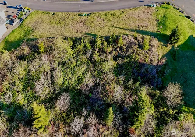 Photo 4 of Land for sale at 1154 Grays Pointe Ln, Aberdeen, WA 98520 | MLS# NWM2503425 | Listing updated on 2026-09-21