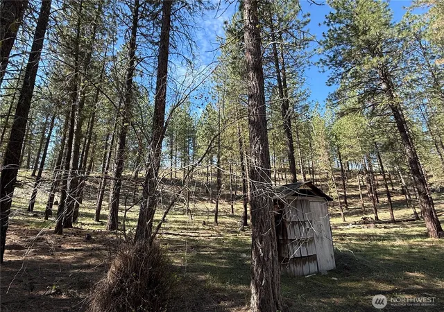 Photo 3 of Land for sale at 87 Larkspur Dr, Winthrop, WA 98862 | MLS# NWM2503481 | Listing updated on 2026-09-21
