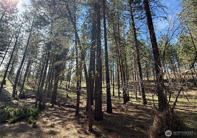Photo 3 of Land for sale at 87 Larkspur Dr, Winthrop, WA 98862 | MLS# NWM2503481 | Listing updated on 2026-09-21