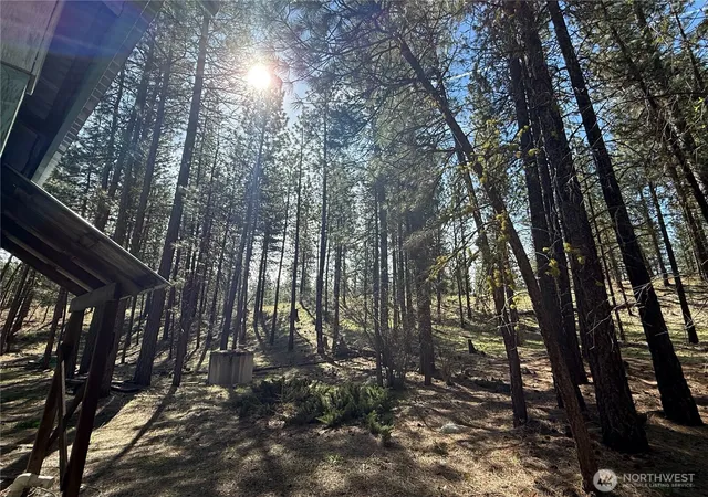 Photo 4 of Land for sale at 87 Larkspur Dr, Winthrop, WA 98862 | MLS# NWM2503481 | Listing updated on 2026-09-21