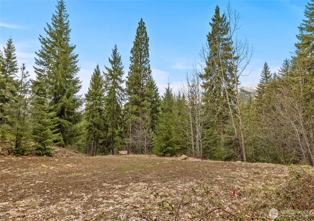 Photo 1 of Land for sale at 33 Lakeside Ct, Ronald, WA 98940 | MLS# NWM2503503 | Listing updated on 2026-09-21