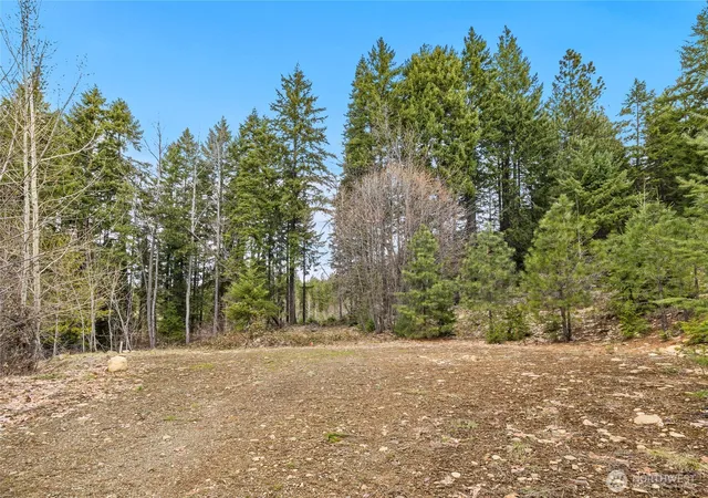Photo 3 of Land for sale at 33 Lakeside Ct, Ronald, WA 98940 | MLS# NWM2503503 | Listing updated on 2026-09-21