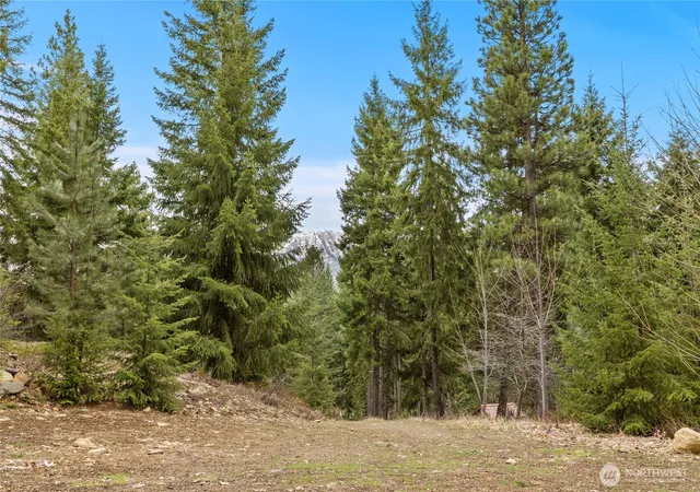 Photo 3 of Land for sale at 33 Lakeside Ct, Ronald, WA 98940 | MLS# NWM2503503 | Listing updated on 2026-09-21