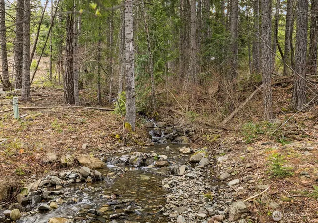 Photo 4 of Land for sale at 33 Lakeside Ct, Ronald, WA 98940 | MLS# NWM2503503 | Listing updated on 2026-09-21