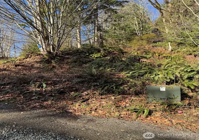 Photo 2 of Land for sale at 15215 320th Street Ne, Arlington, WA 98223 | MLS# NWM2503524 | Listing updated on 2026-09-21