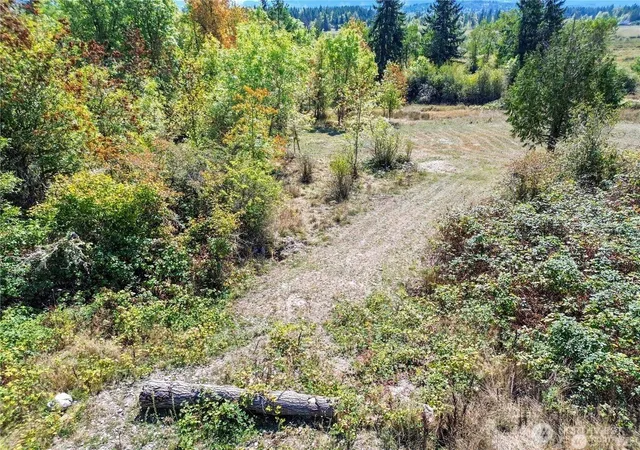 Photo 3 of Land for sale at 40325 Dean Kreger Rd E, Eatonville, WA 98328 | MLS# NWM2503542 | Listing updated on 2026-09-21