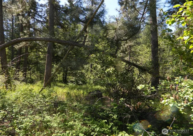 Photo 2 of Land for sale at 0 Tbd Murphy Ranch Rd, Tonasket, WA 98855 | MLS# NWM2503570 | Listing updated on 2026-09-21