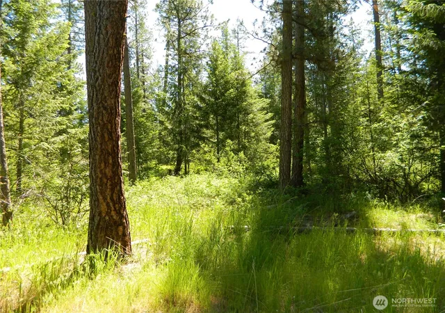 Photo 3 of Land for sale at 0 Tbd Murphy Ranch Rd, Tonasket, WA 98855 | MLS# NWM2503570 | Listing updated on 2026-09-21