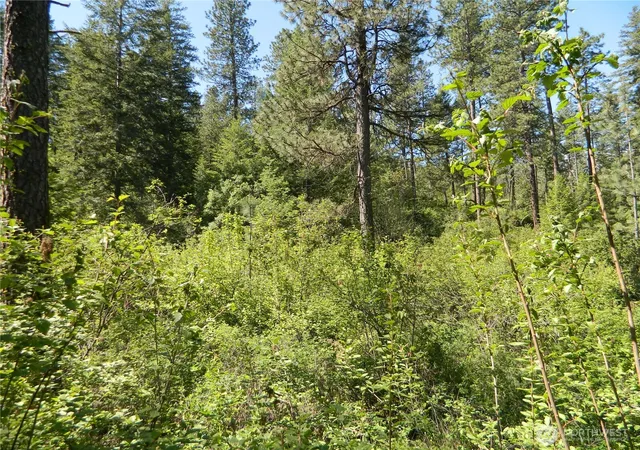Photo 3 of Land for sale at 0 Tbd Murphy Ranch Rd, Tonasket, WA 98855 | MLS# NWM2503570 | Listing updated on 2026-09-21