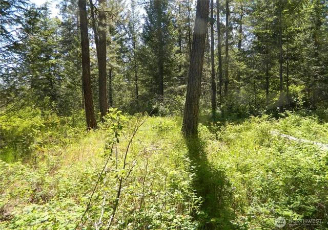 Photo 4 of Land for sale at 0 Tbd Murphy Ranch Rd, Tonasket, WA 98855 | MLS# NWM2503570 | Listing updated on 2026-09-21