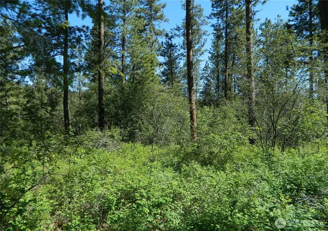 Photo 1 of Land for sale at 111 Tbd Murphy Ranch Rd, Tonasket, WA 98855 | MLS# NWM2503571 | Listing updated on 2026-09-21